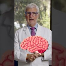 What Supplements Does Dr. Gundry Take?